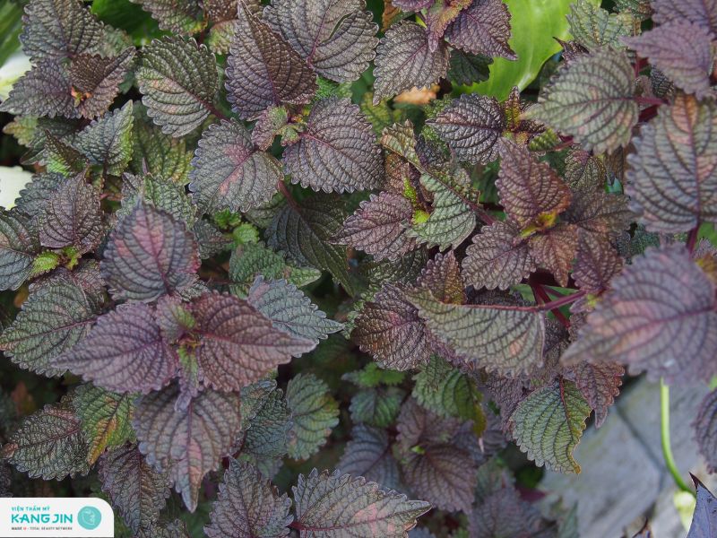 làm trắng da mặt