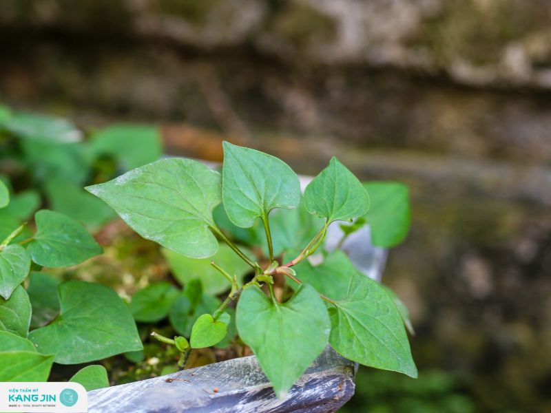 làm trắng da mặt