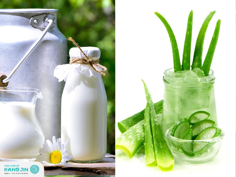 nha đam và sữa tươi