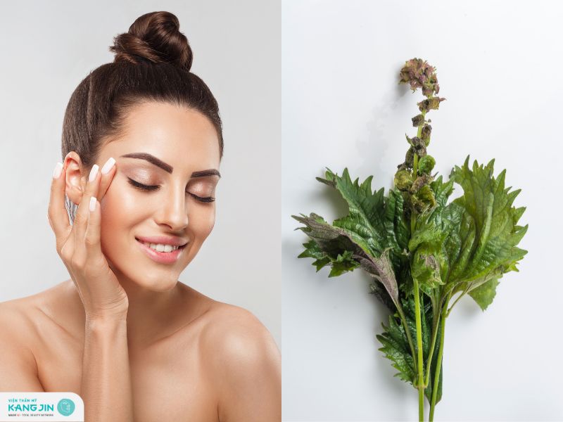 xông hơi da mặt bằng lá tía tô