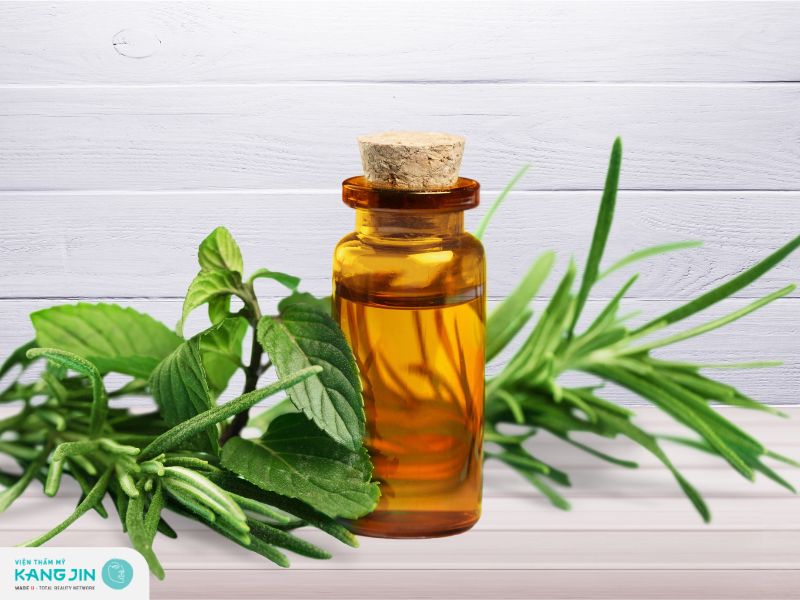 Cách loại tinh dầu để xông mặt chăm sóc làn da dầu, mụn