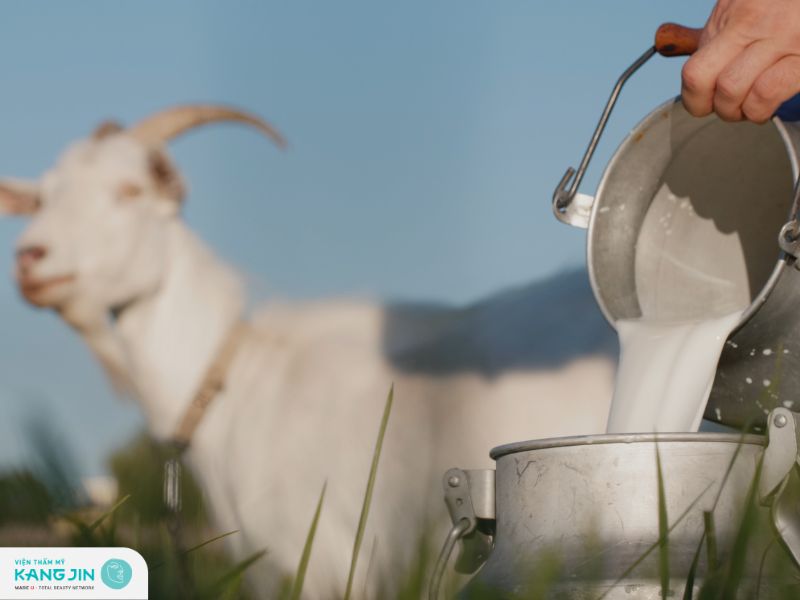 sữa dê đắp mặt có tốt không