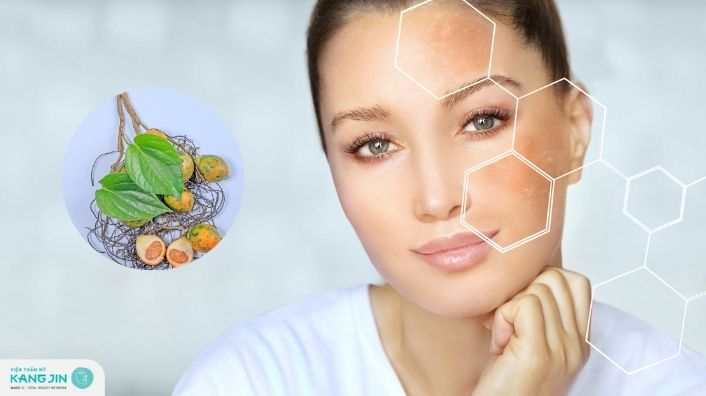 Tác hại của trị nám bằng lá trầu không làm phá hủy sắc tố da