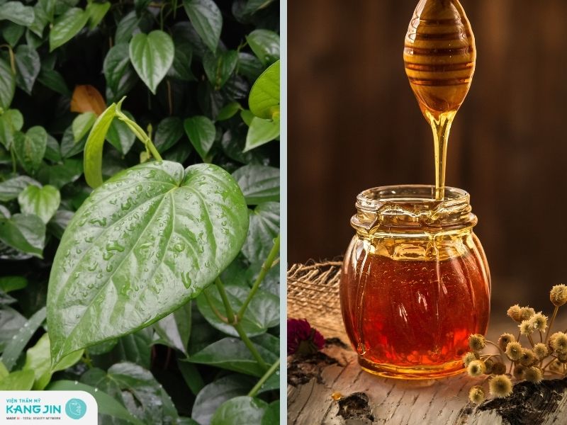 Mặt nạ trị nám với trầu không và mật ong