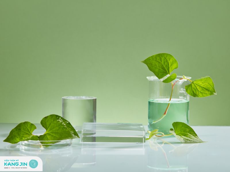 rau diếp cá có trị mụn đầu đen không