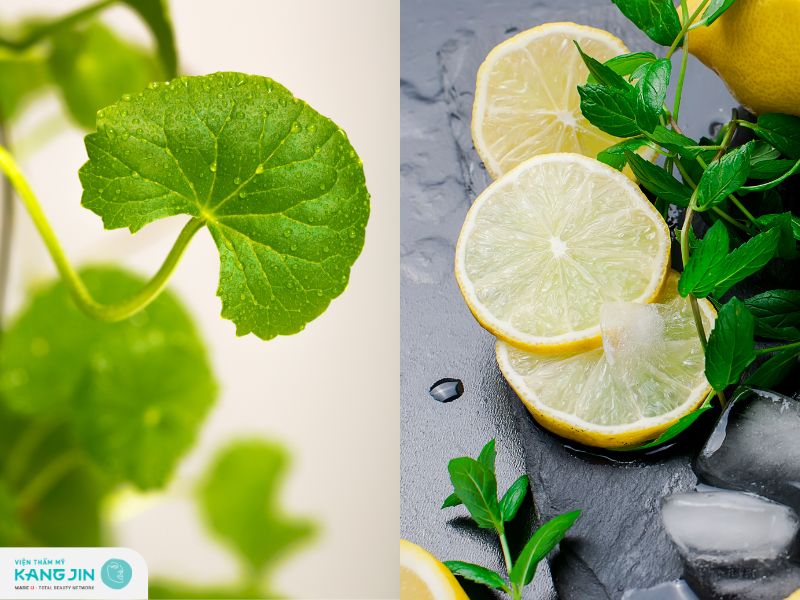 rau má và chanh tươi