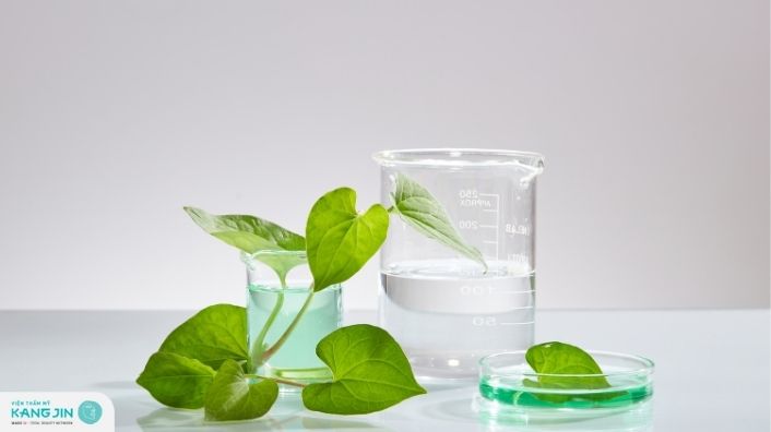 7 Công thức mặt nạ diếp cá trị mụn dưỡng da cho nam và nữ