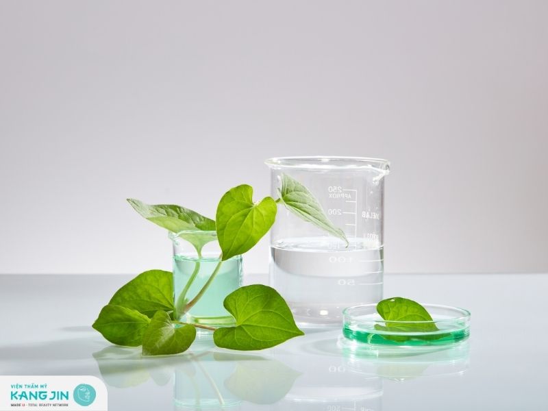 Tìm hiểu cách làm đẹp da từ mặt nạ diếp cá