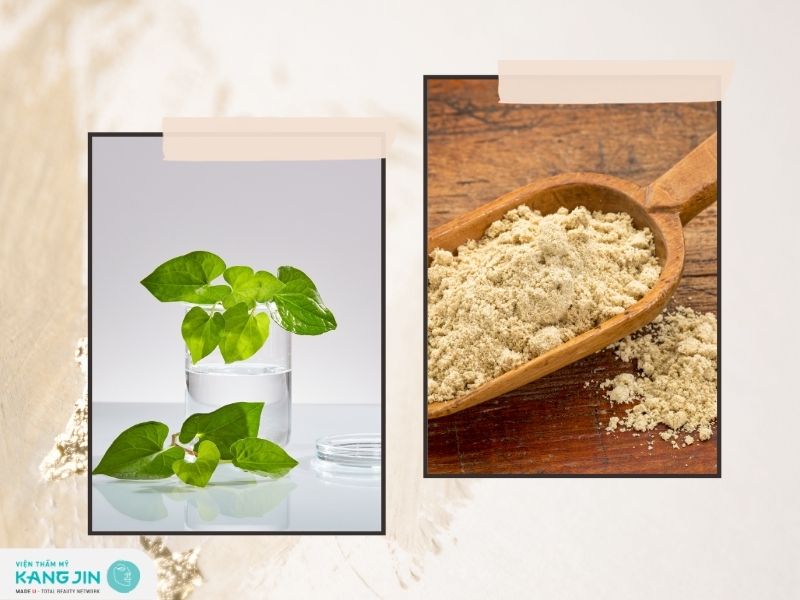 Cách làm mặt nạ dưỡng da từ diếp cá và cám gạo