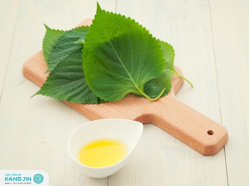 Kết hợp tía tô và giấm hỗ trợ xóa nám hiệu quả, hạn chế sự sản xuất các hắc tố melanin