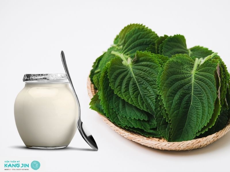 Mặt nạ tía tô trị nám kết hợp với sữa chua