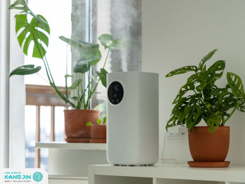 Độ ẩm không khí giúp cấp ẩm cho da một cách tự nhiên từ bên ngoài