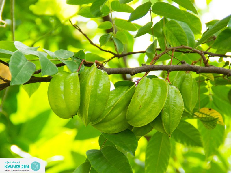 Cách trị viêm da bằng lá khế