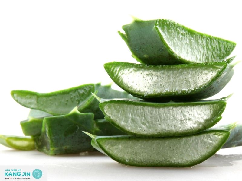 Công thức trị mụn bằng nha đam tươi hiệu quả 