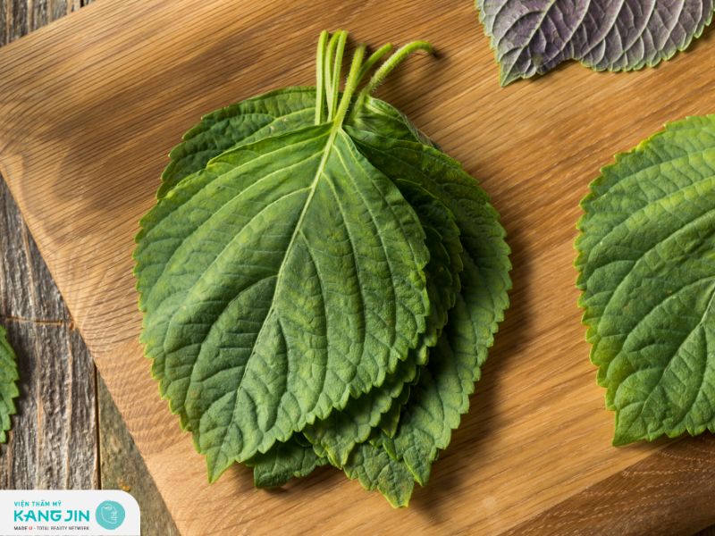 Cách trị nám tại nhà bằng lá tía tô đơn giản hiệu quả 