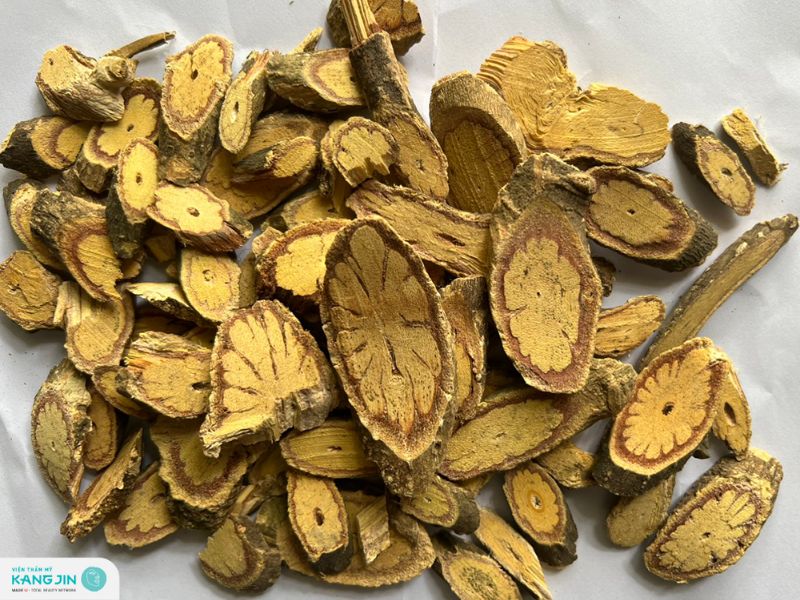 cây kha cúc trị mụn