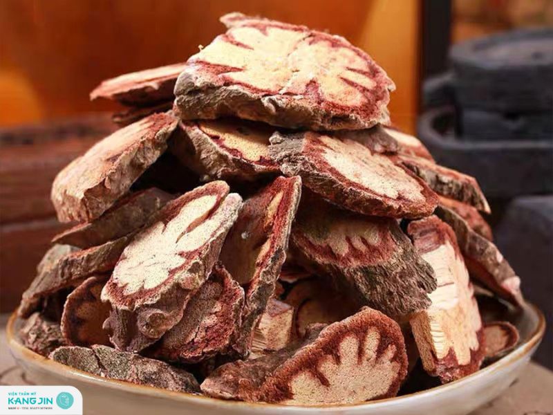 cây kha cúc trị mụn