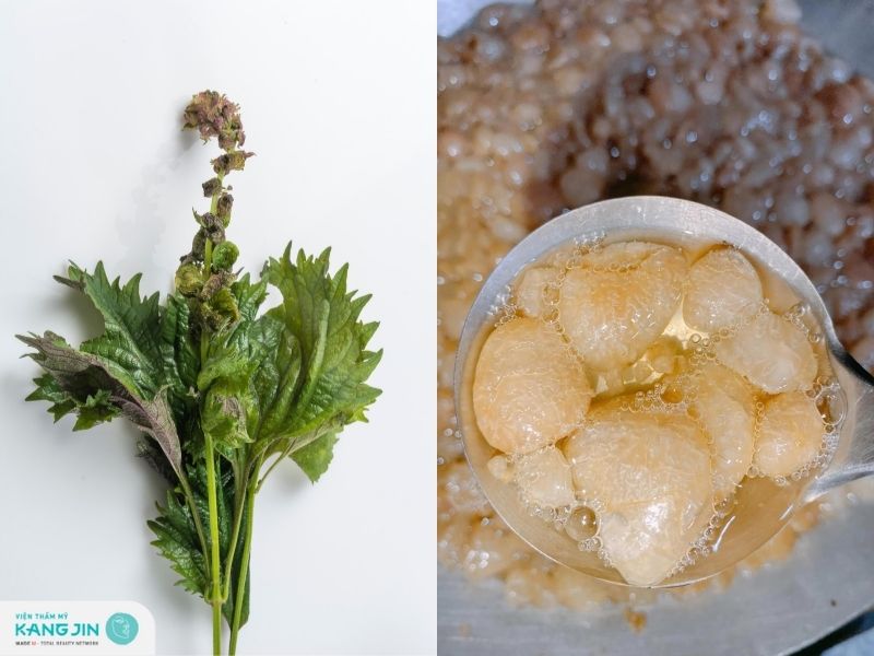 mỡ trăn kết hợp với lá tía tô