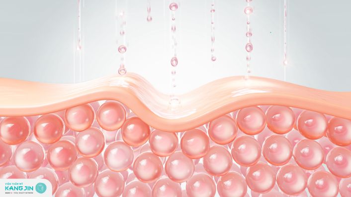 Cấu tạo và đặc điểm tế bào da mà bạn nên biết