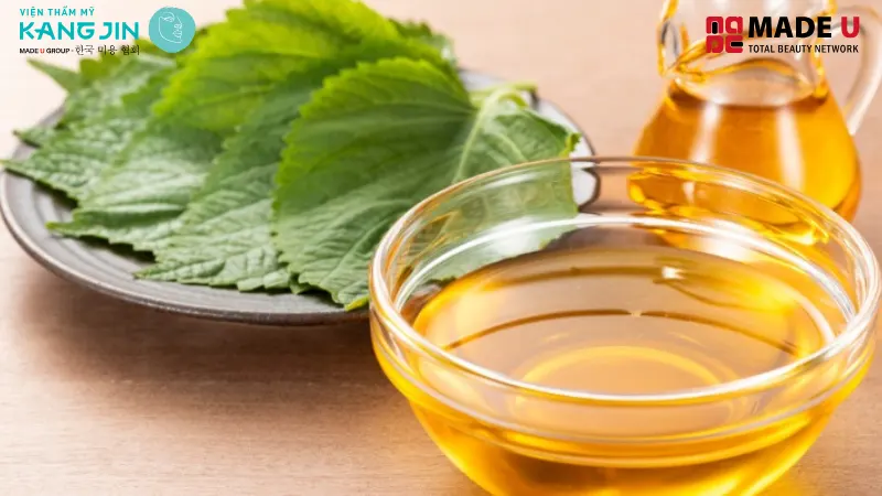 Trà tía tô giúp trị nám hiệu quả