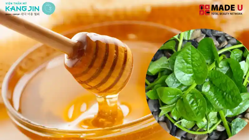 Trị nám bằng rau mồng tơi và mật ong giúp mờ nám, sáng da