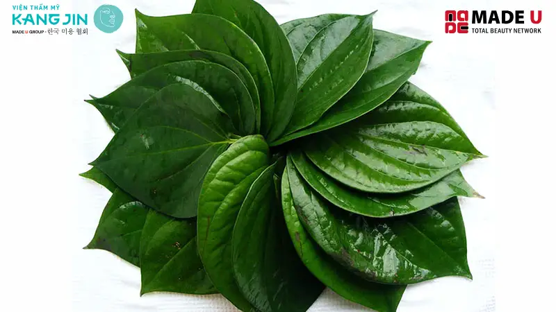 Trị nám bằng lá trầu không giúp tái tạo tế bào da, mang lại làn da sáng khỏe