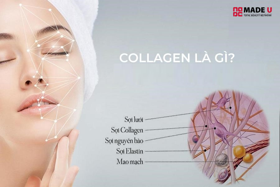Da khỏe đẹp phụ thuộc vào lượng collagen dưới lớp da